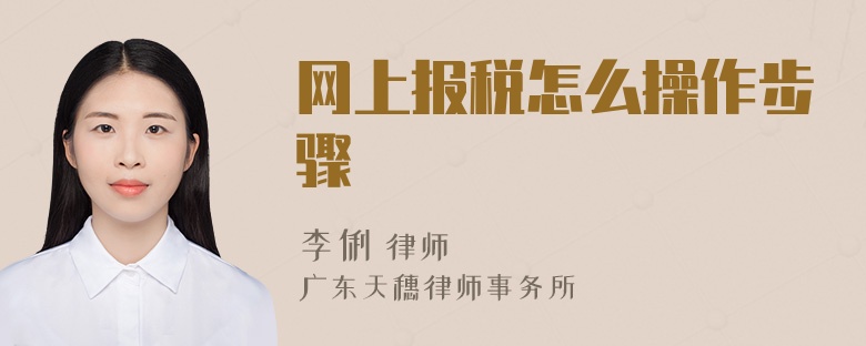 网上报税怎么操作步骤