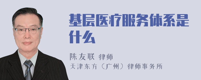 基层医疗服务体系是什么