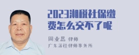 2023湘税社保缴费怎么交不了呢