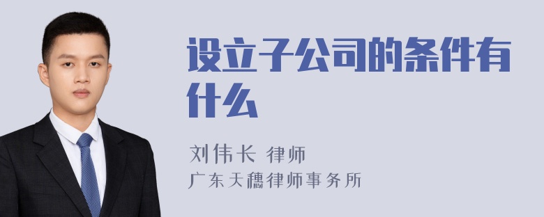 设立子公司的条件有什么