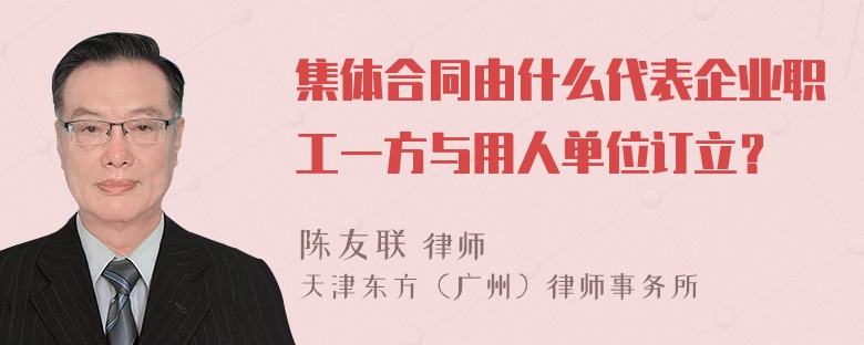 集体合同由什么代表企业职工一方与用人单位订立？