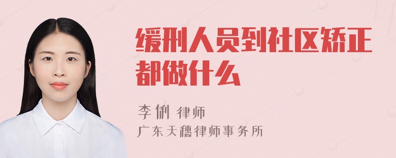 缓刑人员到社区矫正都做什么