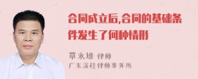 合同成立后,合同的基础条件发生了何种情形