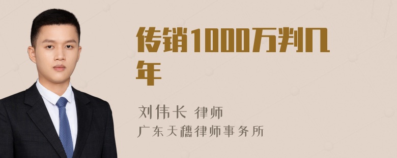 传销1000万判几年