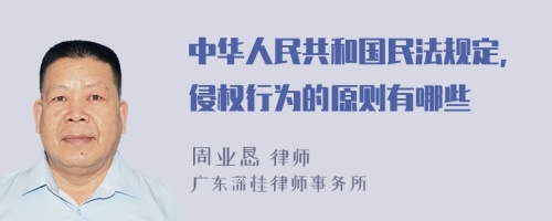 中华人民共和国民法规定,侵权行为的原则有哪些