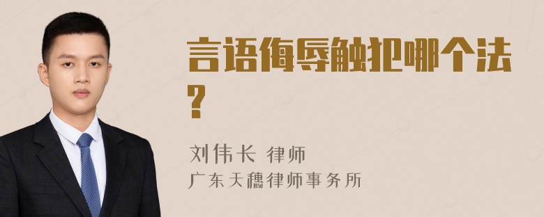 言语侮辱触犯哪个法?