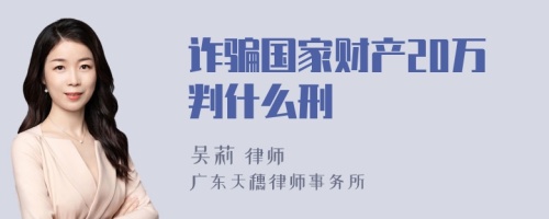 诈骗国家财产20万判什么刑