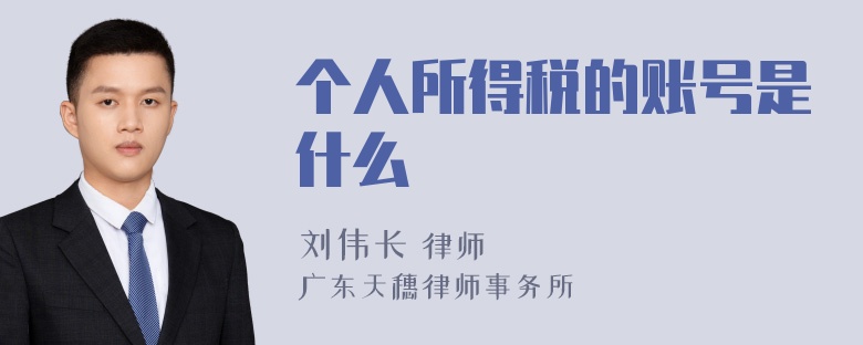 个人所得税的账号是什么