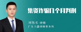 集资诈骗几个月判刑