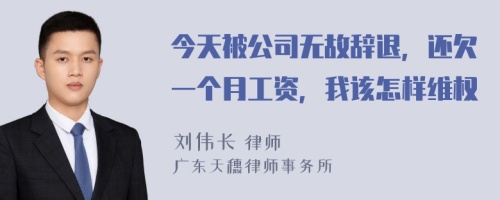 今天被公司无故辞退，还欠一个月工资，我该怎样维权