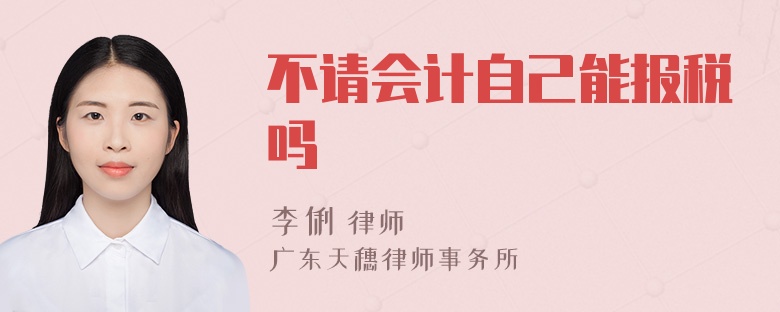 不请会计自己能报税吗