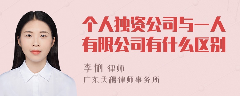 个人独资公司与一人有限公司有什么区别