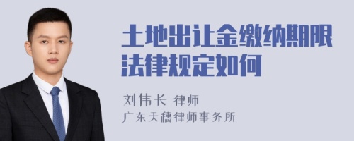 土地出让金缴纳期限法律规定如何