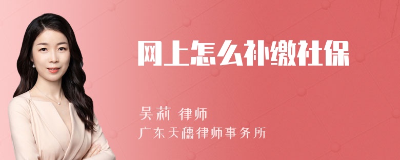 网上怎么补缴社保