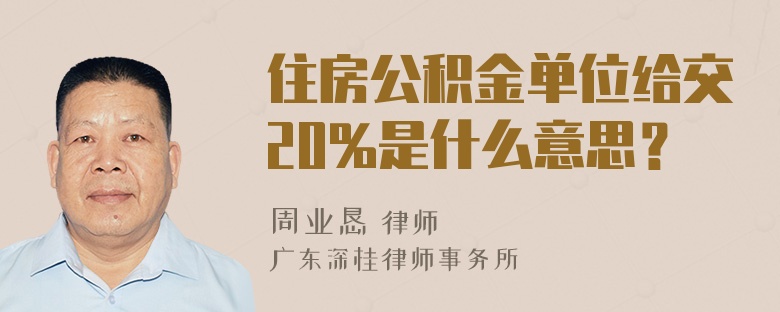 住房公积金单位给交20%是什么意思？