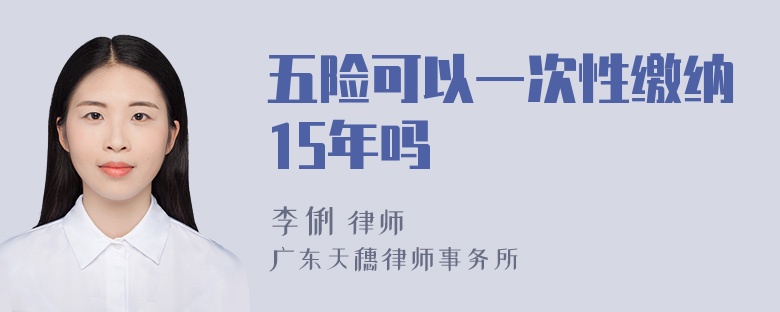 五险可以一次性缴纳15年吗