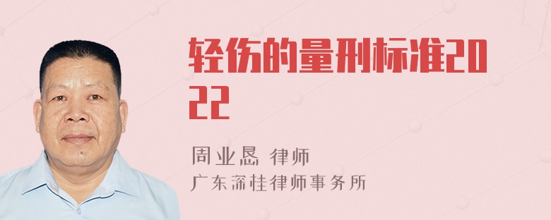 轻伤的量刑标准2022