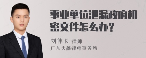 事业单位泄漏政府机密文件怎么办？