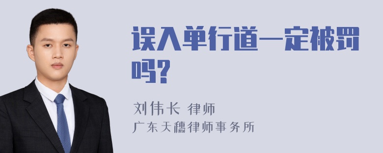 误入单行道一定被罚吗?