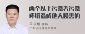 两个以上污染者污染环境造成他人损害的