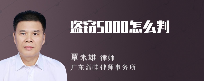 盗窃5000怎么判