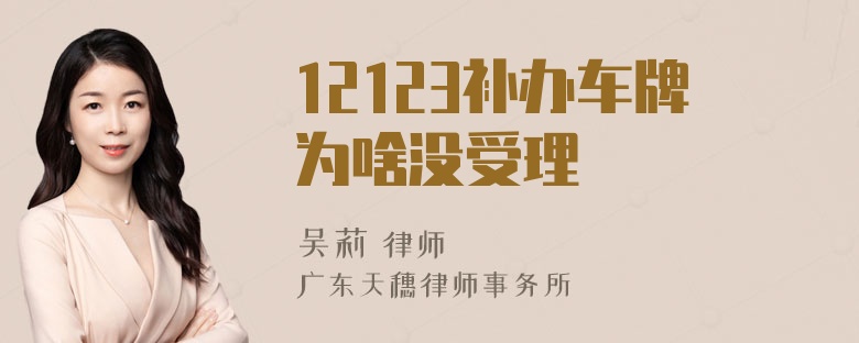 12123补办车牌为啥没受理