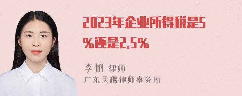 2023年企业所得税是5%还是2.5%