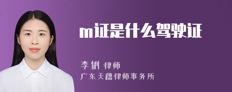 m证是什么驾驶证