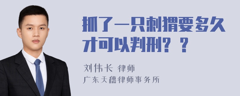 抓了一只刺猬要多久才可以判刑? ?