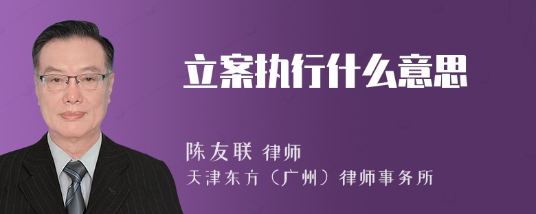 立案执行什么意思
