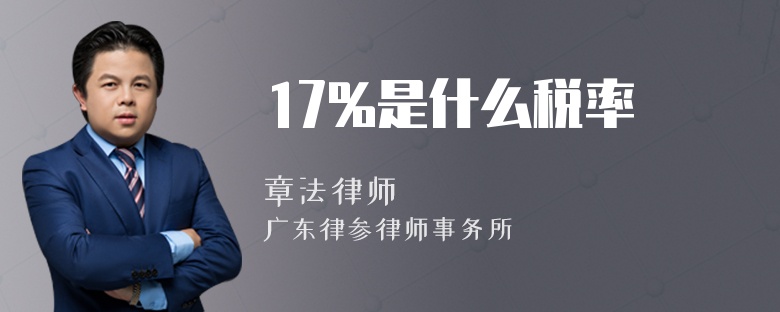 17%是什么税率