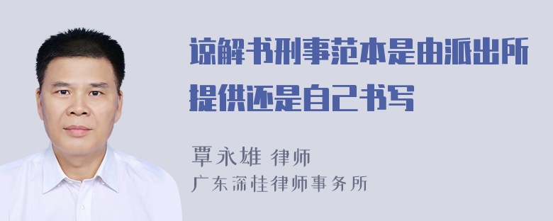 谅解书刑事范本是由派出所提供还是自己书写