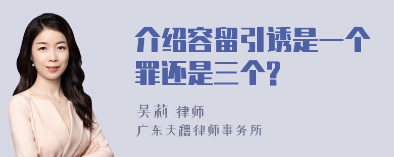 介绍容留引诱是一个罪还是三个?