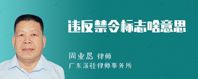 违反禁令标志啥意思