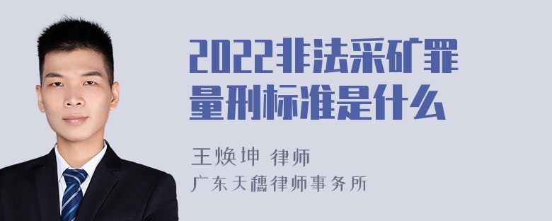 2022非法采矿罪量刑标准是什么