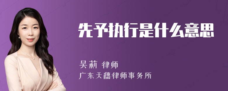 先予执行是什么意思