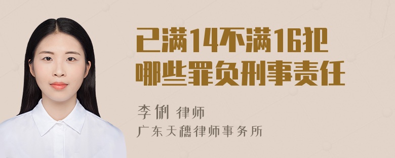 已满14不满16犯哪些罪负刑事责任