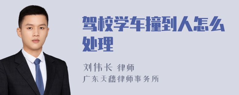 驾校学车撞到人怎么处理