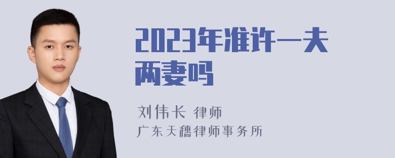 2023年准许一夫两妻吗