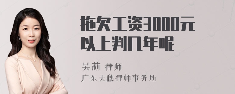 拖欠工资3000元以上判几年呢