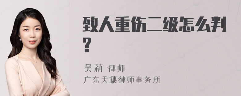 致人重伤二级怎么判?