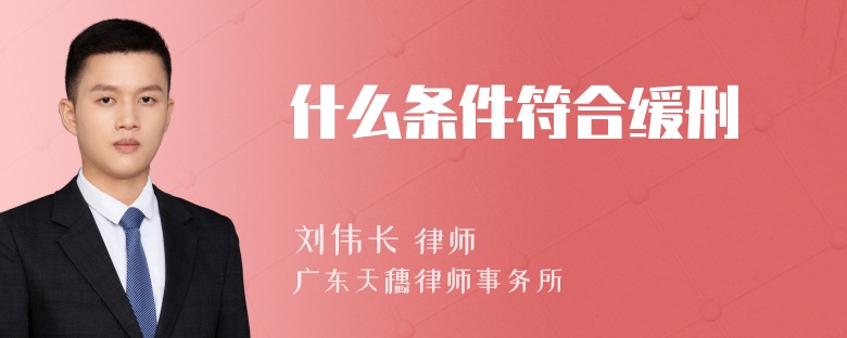 什么条件符合缓刑