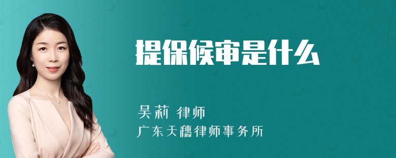 提保候审是什么