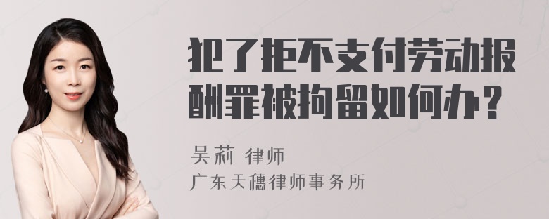 犯了拒不支付劳动报酬罪被拘留如何办？