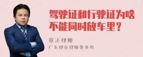 驾驶证和行驶证为啥不能同时放车里？