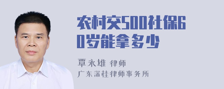 农村交500社保60岁能拿多少