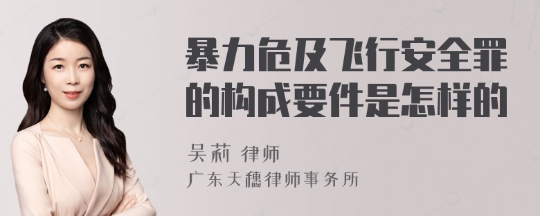 暴力危及飞行安全罪的构成要件是怎样的