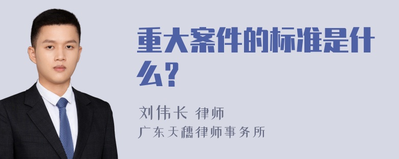 重大案件的标准是什么？