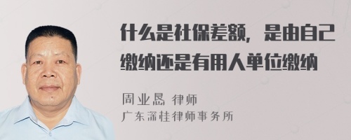 什么是社保差额，是由自己缴纳还是有用人单位缴纳