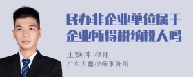 民办非企业单位属于企业所得税纳税人吗